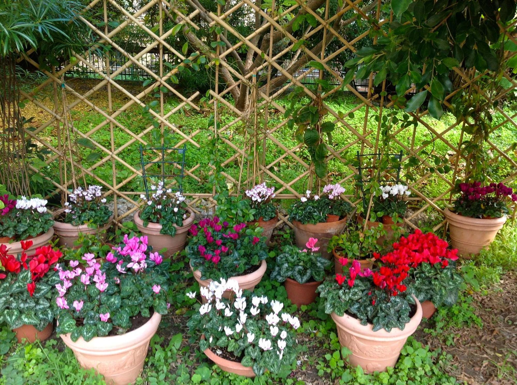 Lirma B&B Cefalu Exterior photo